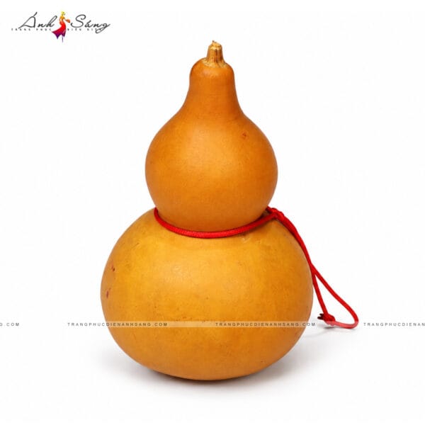 Bầu Hồ Lô - 01
