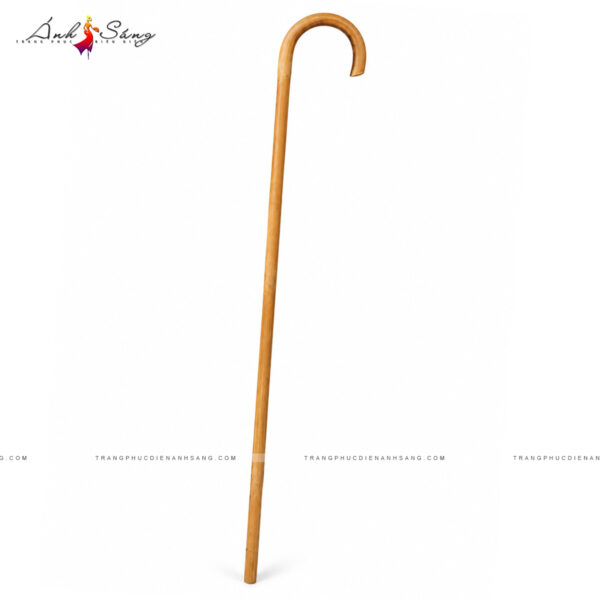 Gậy Chống - 01