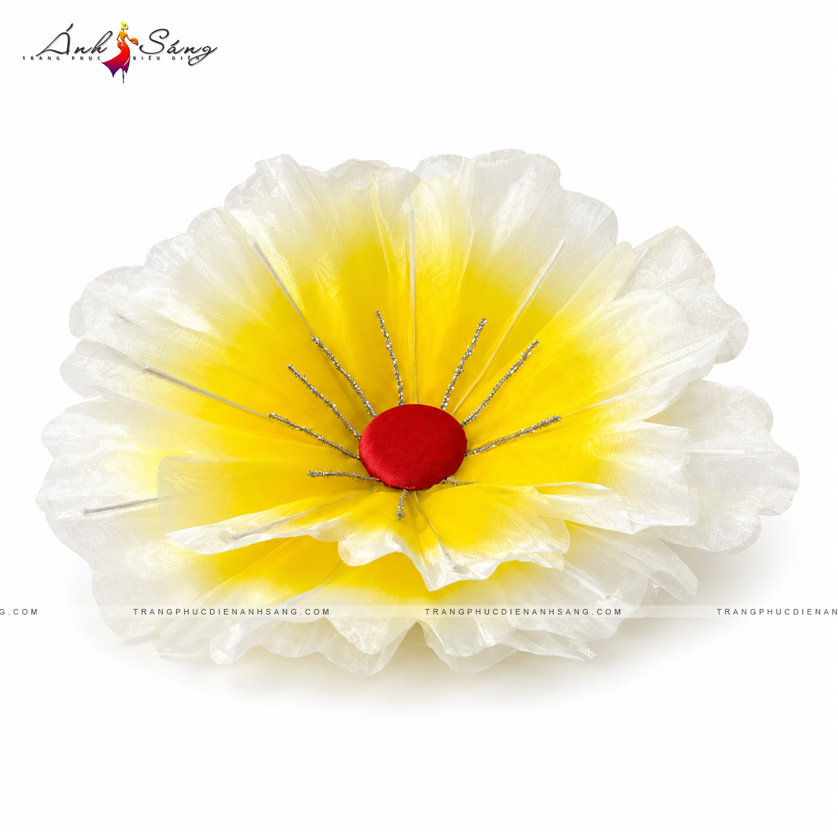 Hoa Phù Dung - 01